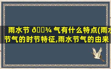雨水节 🌾 气有什么特点(雨水节气的时节特征,雨水节气的由来和气候特点